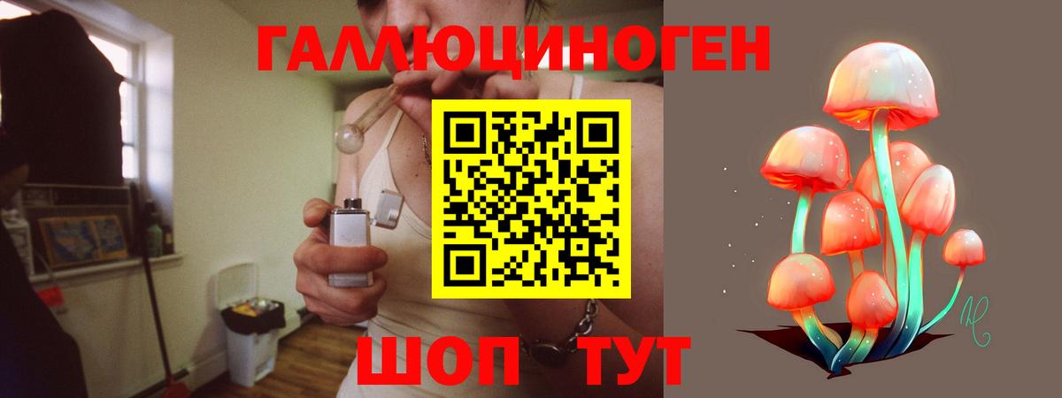 Галлюциногенные грибы прущие грибы Тамбов